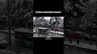 Старость - это дурная привычка, для которой у активных людей нет времени. #действия #мотивация #цель