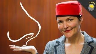 Humans Smelling Humans - Information Elevator #1