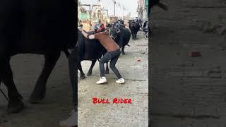 Bull Vlog || Bull Rider #shorts #viral #trending #bullvlog