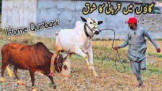 Qurbani Bakra Eid Vlog in Village_ Muddassir Bashir TV _