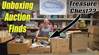 Unboxing So many Auction Items! What Treasures Did we find? Is that a treasure box?