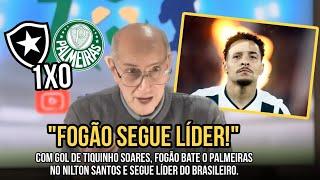 EM JOGÃO DE BOLA, FOGÃO VENCE O PALMEIRAS, COLOCA +3 PONTOS NA CONTA, E SE ISOLA NA LIDERANÇA DO BR!