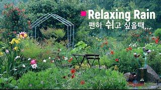 The rain of rest in the garden~!! / 30 minutes sleep video,,,,