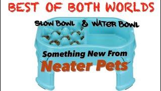 Something Fantastic From The Neater Pets Company: Slow Feeder + Water Bowl in One