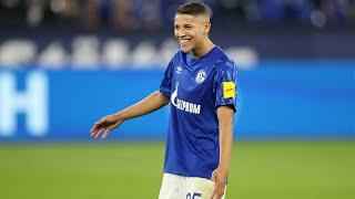 Amine Harit - Goals, Assist & Skills 2020 Schalke 04