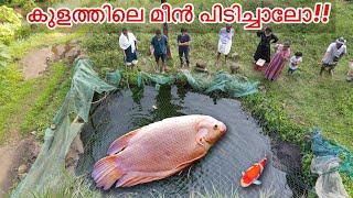 പാറമടയിൽ ചൂണ്ട ഇട്ട് മീൻ പിടിച്ചാലോ ?? | Tilapia Fishing & Cooking Kerala