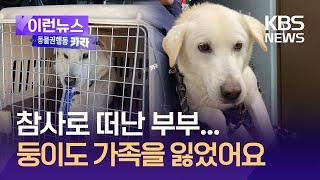 [이런뉴스] 푸딩이 이어 '둥이'까지…남겨진 반려동물 상황은? / KBS 2025.01.14.