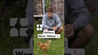 Hoftour bei Wenz: Seine Hühner  #shorts #hunderthektarheimat #funk #landwirtschaft #dorfkind