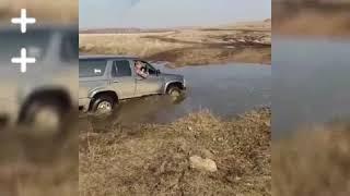 Beauty Video 1586197535253 HD