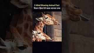 Top Mind-Blowing Animal Facts You Won’t Believe | #shortfacts