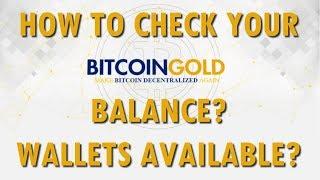 How to CHECK your BTG BALANCE? | BTG WALLETS AVAILABLE?
