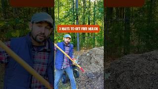 3 Ways to Get Free Mulch for your Garden and Fruit Trees #shorts #gardening #fruittrees #mulching