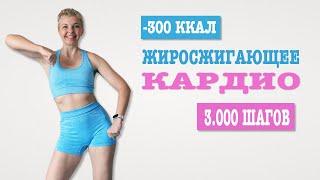 Жиросжигающая кардио тренировка. Ходьба 3000 шагов за 30 минут | Natinfitness