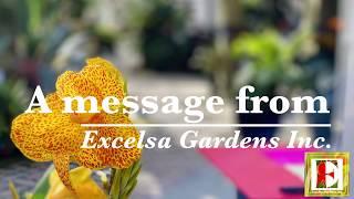 A message from Excelsa Gardens Inc.