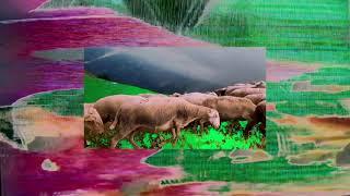 Pushkar Brand - Rusty Minor Things (VHS Videoclip || Glitch || Circuit bent PSX, MX10 and VE1)