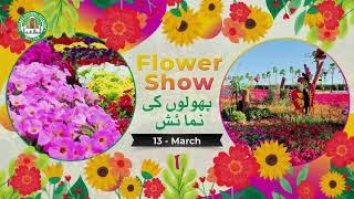 DHA Multan Spring Gala 2023