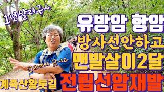 계족산황톳길 유방암 함암 방사선 안하고 맨발살이 두달째 김제에서 1년살려구  전립선암 재발 ~ 열씸히 걸어요