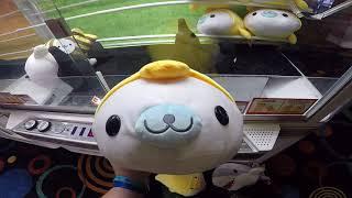 Mamegoma Seal Plush WIN on UFO Catcher at Round1 in Taunton, MA (From 4/12/18)