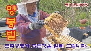 귀농 19년 차 다시 찾은 소소한 행복, 벌을 키우는 평창 로컬푸드 회원 김영식#033 332 0750 #토착양봉#양봉#폋창청정양봉#황창연신부님#