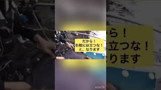 渡船で磯釣りに行く皆さんに見て欲しいです　#short