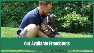 Our Available Frenchtons