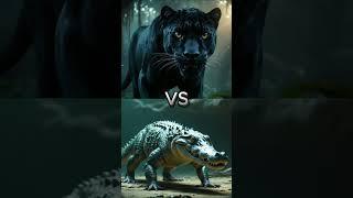 Black Panther vs the Wild  | EPIC Animal Battles