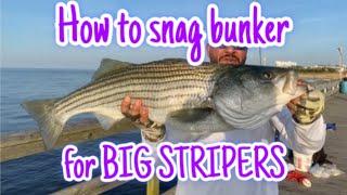 How to snag Bunker for BIG STRIPED BASS ! Tutorial