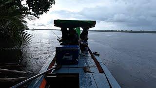 Fishing and cooking nasi goreng udang galah langsung di perahu saat hujan gerimis.