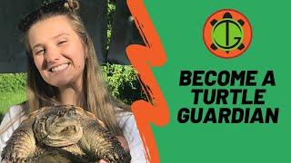 Become A Turtle Guardian | Turtle Guardians