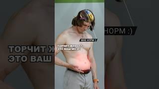 ВЫПИРАЕТ ЖИВОТ? ЭТО ВАШ МОЗГ! 