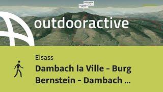 Wanderung im Elsass: Dambach la Ville - Burg Bernstein - Dambach la Ville