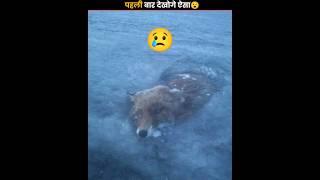 पहली बार देखोगे ऐसी घटना | You Will See Such An Incident For The First Time | #shorts