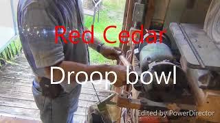 Red Cedar droop bowl in the worlds smallest shop a catamaran