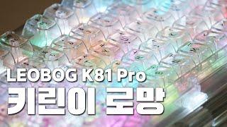 파스텔 LED 혁명적인데... 아크릴 키보드가 이 가격에???  LEOBOG K81 Pro