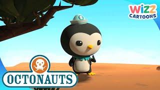 @Octonauts - #EarthDay Special! | 30 Mins+ | Compilation | Wizz Cartoons