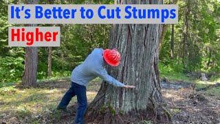 Why West Coast Loggers Love Cutting High Stumps