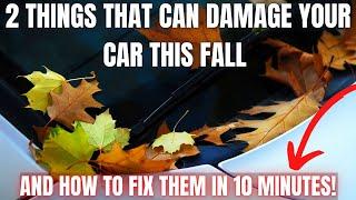 2 Things That Damage Your Car This Fall Season and How To Fix Them!