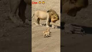 #youtube #stater gopi gori vlogs 1m vide ####