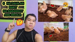 DAHILAN BAKIT NABABANSOT ANG BROILER CHICKEN | PAANU ITO MAIWASAN. | BEAMS TV