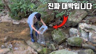 깊은 산속 계곡에 리빙박스를 묵혀뒀더니 놀라운 결과가!! 깜짝놀랐습니다