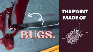 Making paint from BUGS (They’re also in your food)