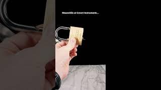 Professional Lock Picking by Professionals