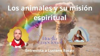 Entrevista Laura Vidal-Huella Emocional con Luciano: la misión espiritual de los animales en la vida