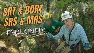 How to use SRS ("SRT") and MRS ("DdRT") tree climbing systems in easy steps