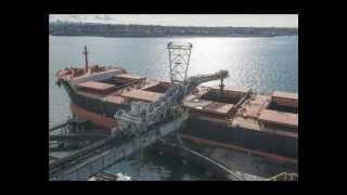 Coal Shiploader Procedures