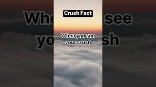 Why Your Heart Races When You See Your Crush