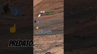 ️              #perseverance #curiosity                      Credit : NASA/JPL-Caltech/MSSS/IRAP
