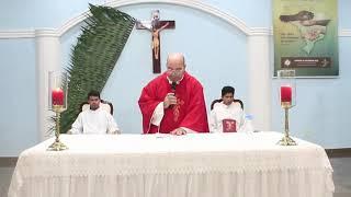 Transmissão ao vivo de Paróquia Nossa Senhora do Rosário - Porto Velho-RO