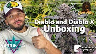 Dusa Farms Diablo & Diablo X Review