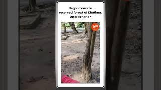 Illegal mazar in reserved forest of Khatima, Uttarakhand? #Illegalmazar #IllegalMazarExposed #viral